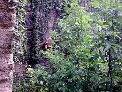 149 BIO PARC DE DOUE LA FONTAINE 4- 2016_000020